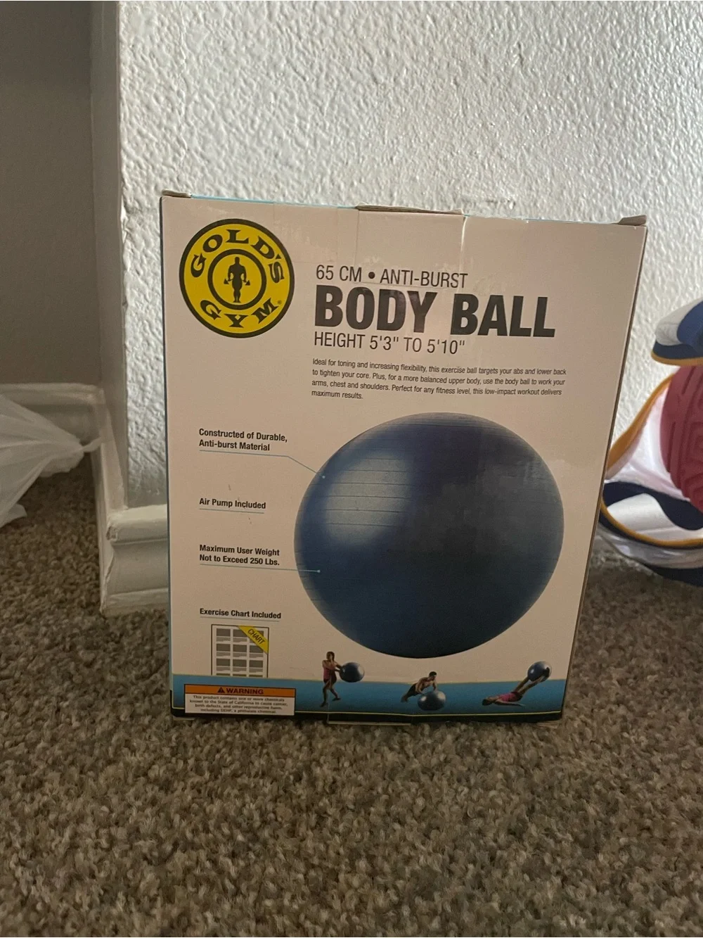 Golds Gym  65cm anti-burst Body Ball
